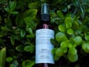 Scalp Detox Oil
